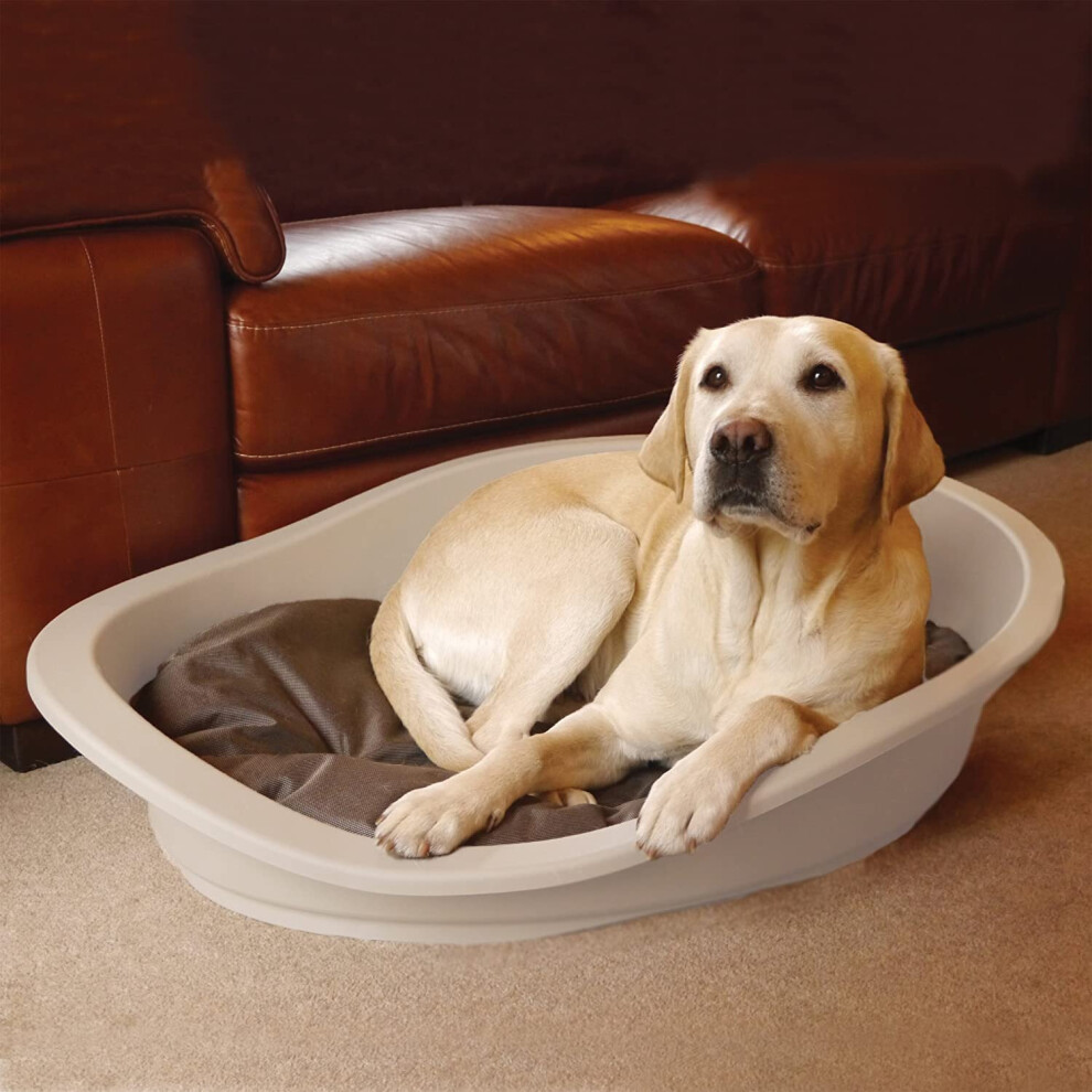 Rosewood Sonny Classic Plastic Dog Bed, Mocha