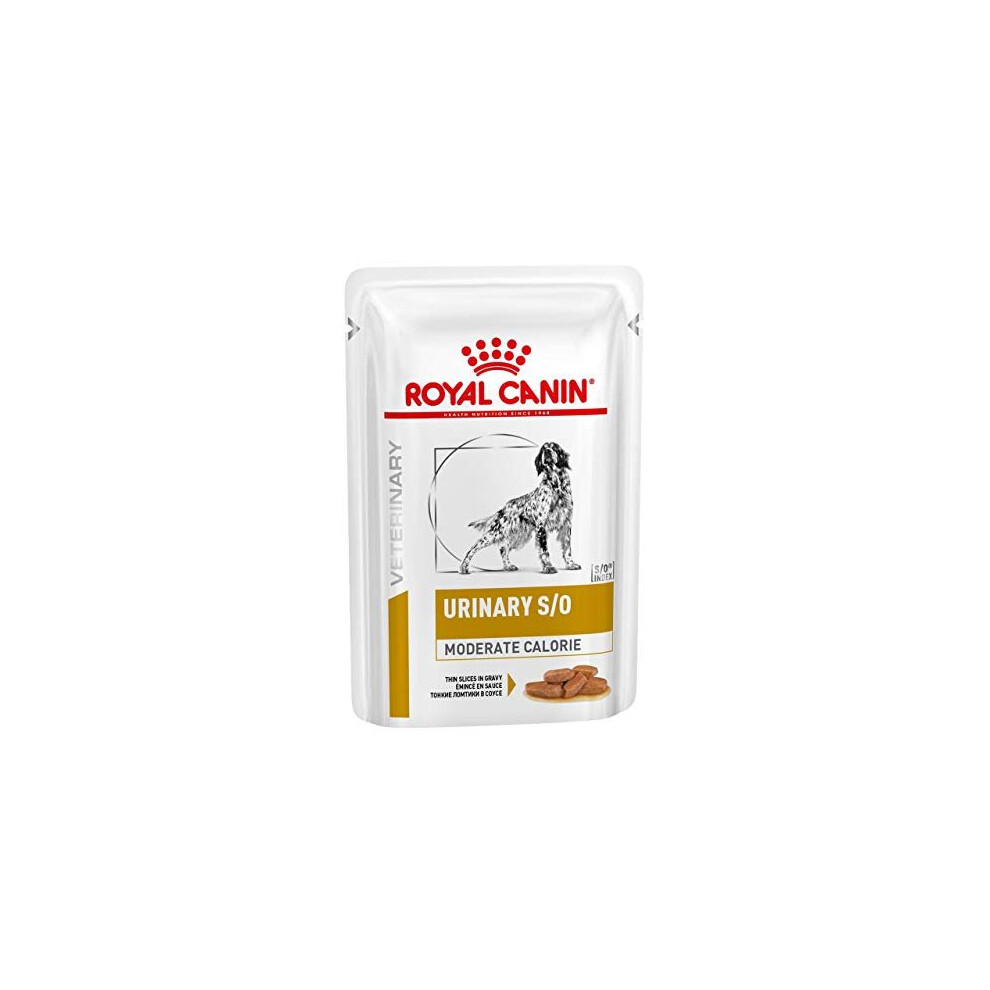 ROYAL CANIN Urinary S/O Moderate Calorie Wet Dog - 12 x 100g