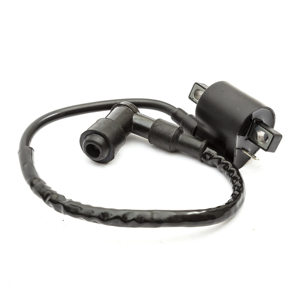 Spark Plug Ignition Coil Aeon Cpi Atv 2 Stroke Taiwanese Import Bike 50Cc 100Cc 5055583024504
