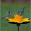 Selections Cast Iron Daffodil Bird Feeder Flower Dish 2