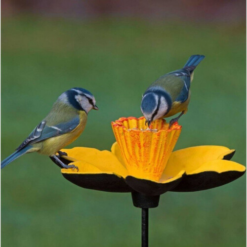 Selections Cast Iron Daffodil Bird Feeder Flower Dish 1