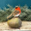 Selections Robin on a Stone Resin Garden Ornament 2