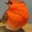 Selections Robin on a Stone Resin Garden Ornament 7