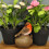 Selections Robin on a Stone Resin Garden Ornament 8