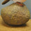 Selections Robin on a Stone Resin Garden Ornament 4