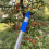 Selections Deluxe Lightweight Telescopic Apple & Fruit Picker 8