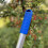 Selections Deluxe Lightweight Telescopic Apple & Fruit Picker 4