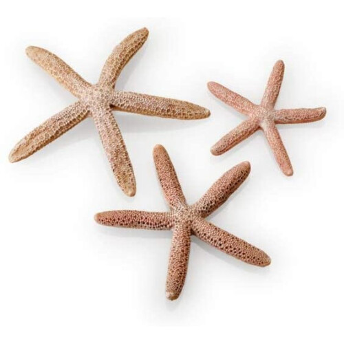 Biorb biOrb Starfish Set, Natural