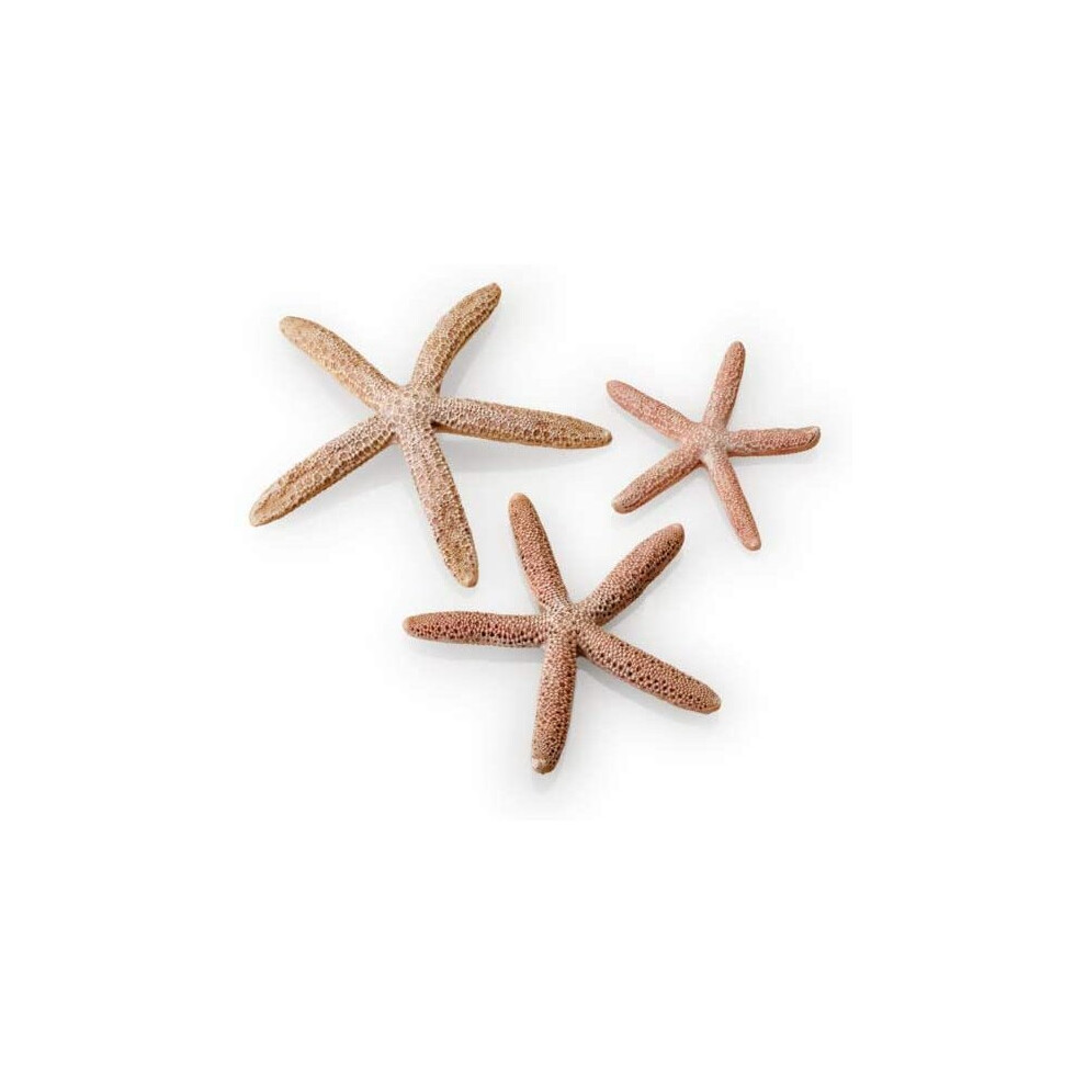 BiOrb Starfish Natural Set of 3 48357