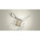 Sony Sony SRS-XB13 - Compact & Portable Waterproof Wireless Bluetooth® speaker with EXTRA BASS™ - Taupe 4