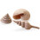 Biorb biOrb Sea Shells Natural 1