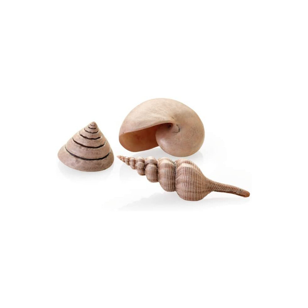 biOrb Sea Shells Natural