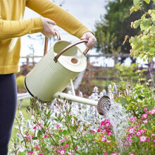 CREAM Steel Garden 9L Watering Can With Watering Rose and handle , Plant Care
