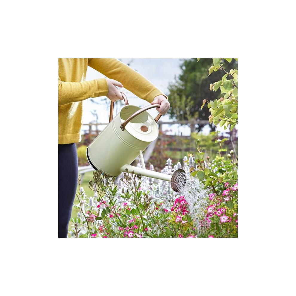 CREAM Steel Garden 9L Watering Can With Watering Rose and handle , Plant Care