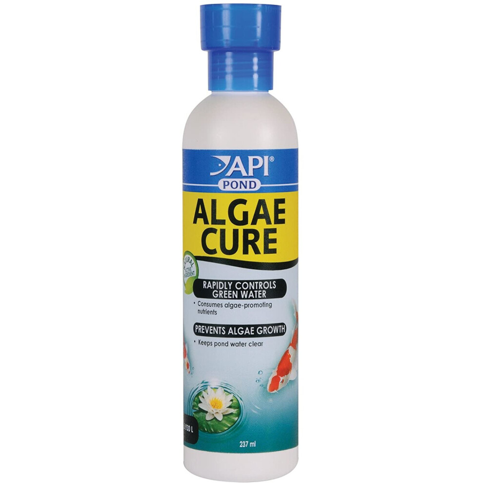 API POND ALGAE CURE Control Solution, Safe For Pets When Used As Directed, 237 ml Bottle