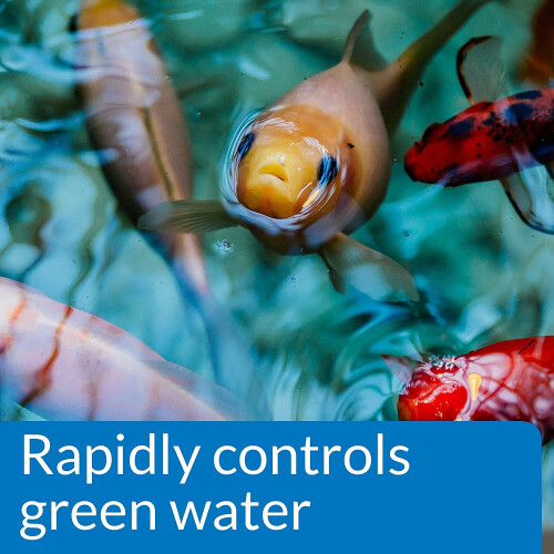 API POND ALGAE CURE Control Solution, Safe For Pets When Used As Directed, 237 ml Bottle 1