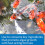 API POND ALGAE CURE Control Solution, Safe For Pets When Used As Directed, 237 ml Bottle 3
