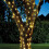 Smart Garden Products Smart Garden Solar Powered Firefly Wire Lights 200 LEDs - Warm White 3