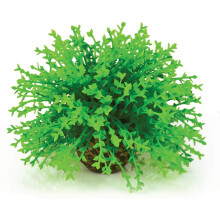 biOrb Topiary Ball, Green