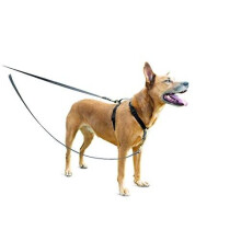PetSafe Anti-Pull Dog Lead - Strong, Durable, Reflective Dog, Puppy Lead for PetSafe 3-in-1 Harnesses and Dogs of All Sizes