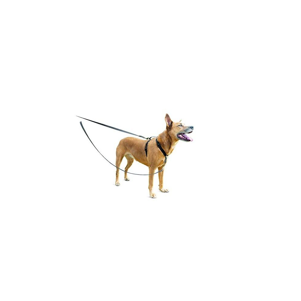 Petsafe Anti-Pull Dog Lead - Strong, Durable, Reflective Dog, Puppy Lead For 3-In-1 Harnesses And Dogs Of All Sizes