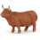 Vaca Highland 1