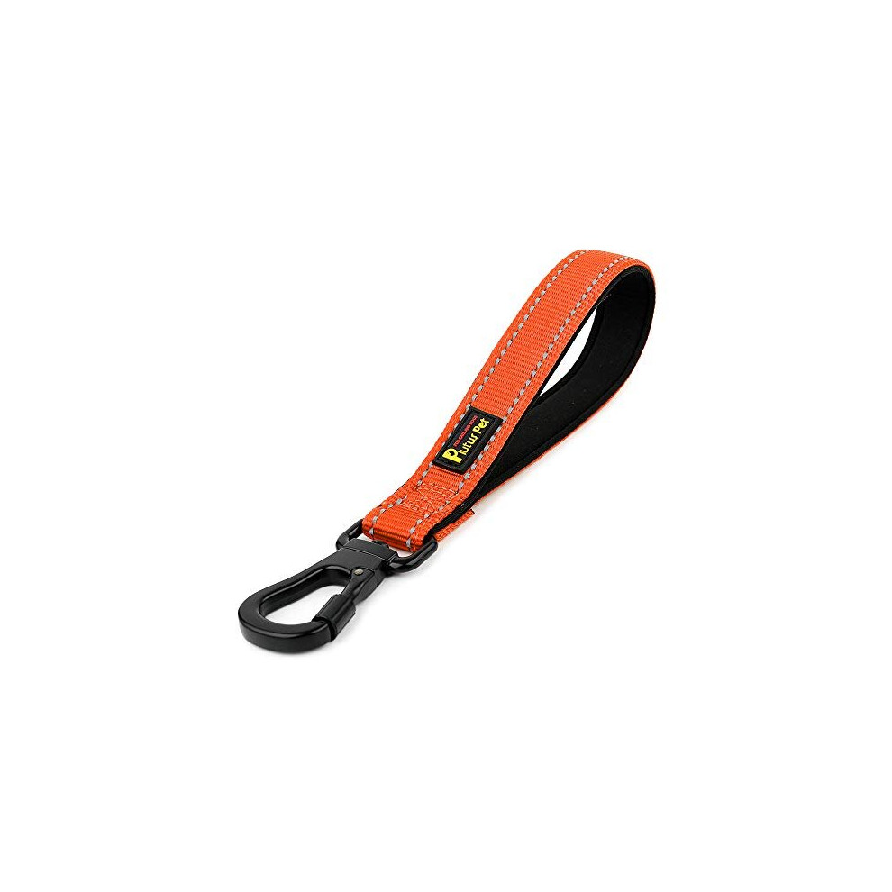 PLUTUS PET Strong Training Dog Lead with Rock Climing Carabiner Clip, Relective Nylon Dog leash Padded Handle, Training Lead for Large and Medium