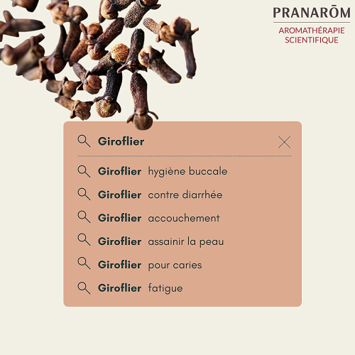Pranarom Huile Essentielle Giroflier 10ml 1