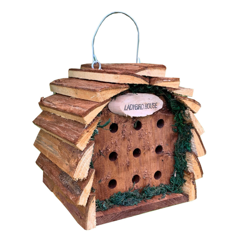 Selections Wooden Hanging Ladybird House