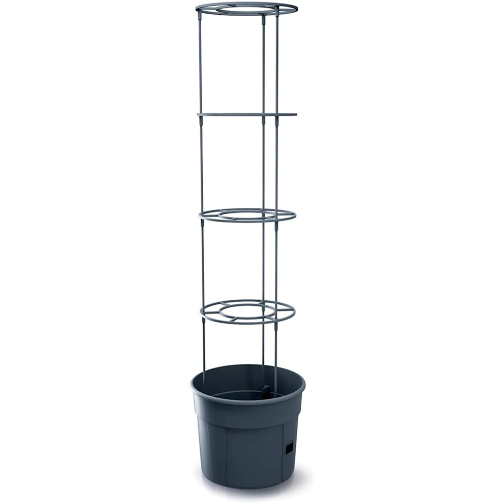 Prosperplast Tomate Grower Tomato Planter Plastic Anthracite (L) X 29.5 (W) X 23.6-115.2 (H) Cm, Pequeño