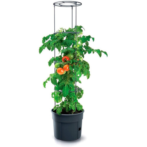 Prosperplast Grembiule da disegno per bambini 2