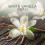 Air Wick Air Wick Electrical Plug In Refills, White Vanilla Bean, 19ml Refill x 6 (Total 6 Refills) 5