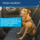 PetSafe PetSafe 3-in-1 Harness and Car Restraint, Medium, Black, No Pull, Adjustable, Training for Small/Medium/Large Dogs 4