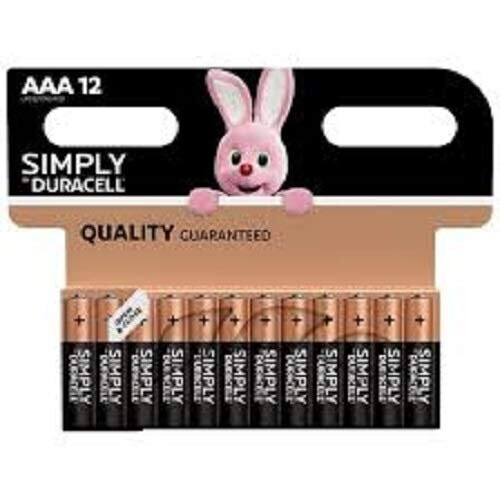Duracell Duracell Plus Power Type AAA Alkaline Batteries, pack of 24