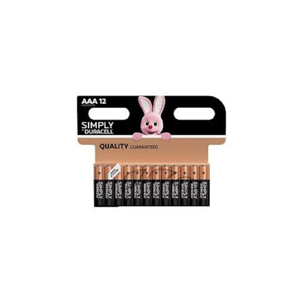 Duracell Plus Power Type AAA Alkaline Batteries, pack of 24