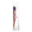 Barbie Barbie Skipper Babysitters Inc Dolls and Playset 8