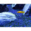 Seachem Cichlid Lake Salt, 1 kg 4