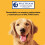 Pedigree Pedigree Biscrok Multi Small 500g x 12 7