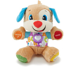 Fisher-Price FPM50 Learning Fun Puppy, Multicoloured