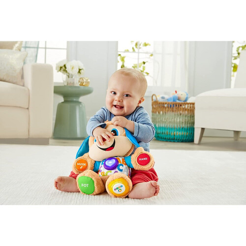 Fisher-Price Fisher-Price FPM50 Learning Fun Puppy, Multicoloured 1