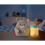 Fisher-Price Fisher-Price Baby Bear & Firefly Soother 4