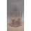 Avon Avon Soft Musk Eau De Toilette Spray 7