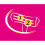 BIC BIC Twin Lady Razor - Pack of 10 (Assorted) 7