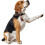 Hunter HUNTER Collar Cody, 45, Small 5