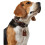 Hunter HUNTER Collar Cody, 45, Small 4