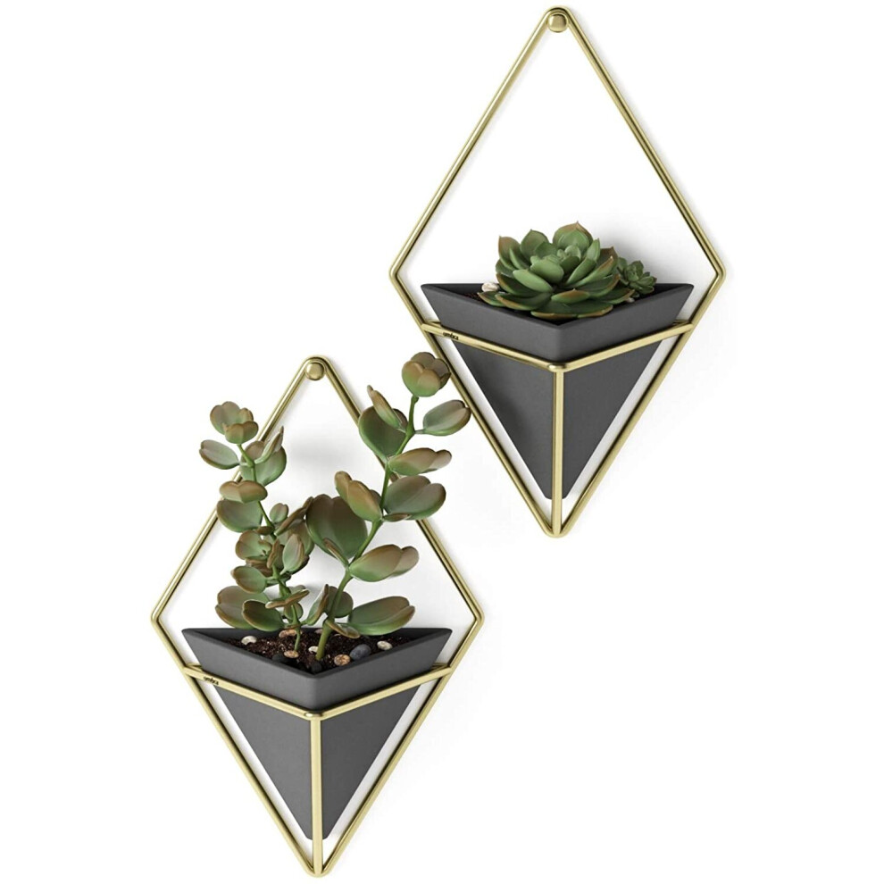 Umbra Trigg Hanging Planter Vase and Geometric Wall Decor Vessel - Great For Succulent Plants, Air Plant, Mini Cactus, Faux Plants and More, Set of 2,