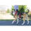 PetSafe PetSafe EasySport Harness, Large, Red, Adjustable, Control, Padded for small/ medium/ large dogs 3
