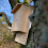 Selections Large Wooden Bat Nesting Roosting Box 4