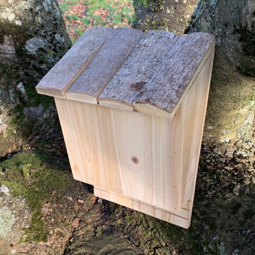 Selections Large Wooden Bat Nesting Roosting Box 1