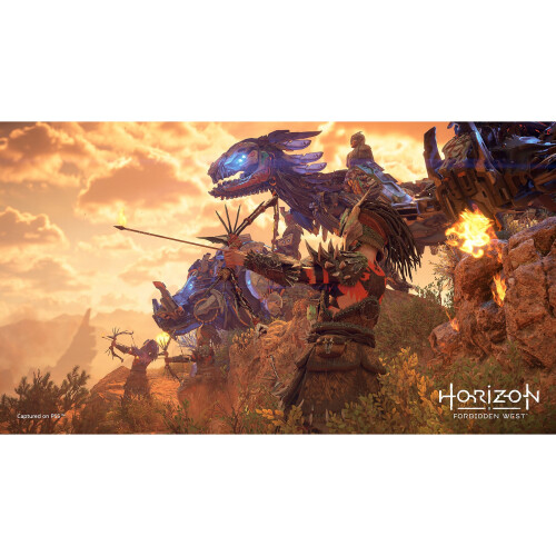 Playstation Horizon Forbidden West | PS5 Game 2
